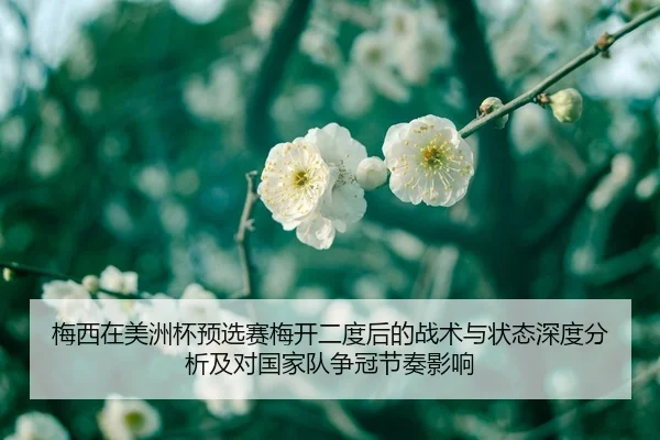 mei-xi-zai-mei-zhou-bei-yu-xuan-sai-mei-kai-er-du-hou-de-zhan-shu-yu-zhuang-tai-shen-du-fen-xi-ji-dui-guo-jia-dui-zheng-2-312.jpg